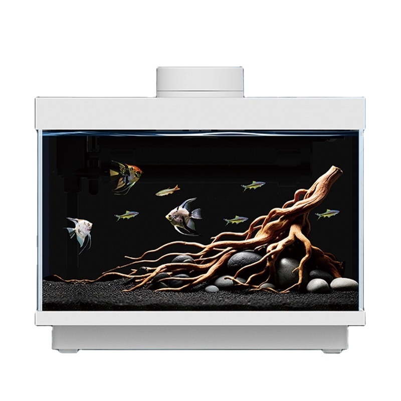 All Fish In Aquarium - Многофункциональный универсальный настольный аквариум из стекла