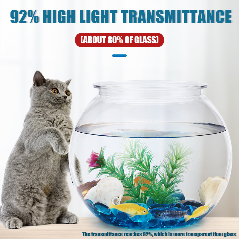 Пластиковая миска для рыбы, ра – обзор и цена All Fish In Aquarium