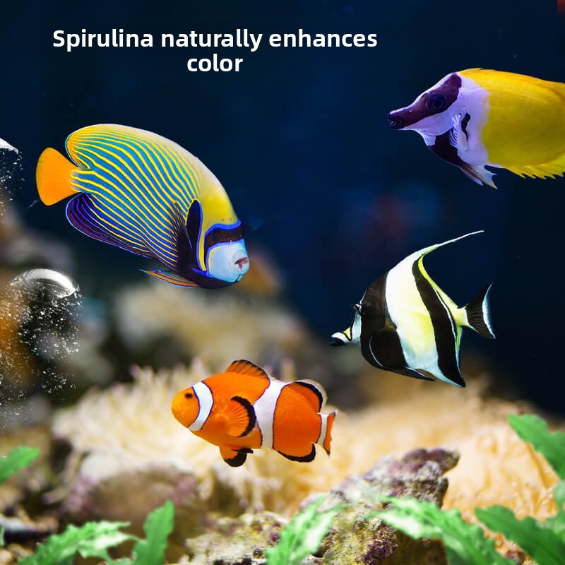 DEERA Clownfish & Tang Food |  – обзор и цена All Fish In Aquarium