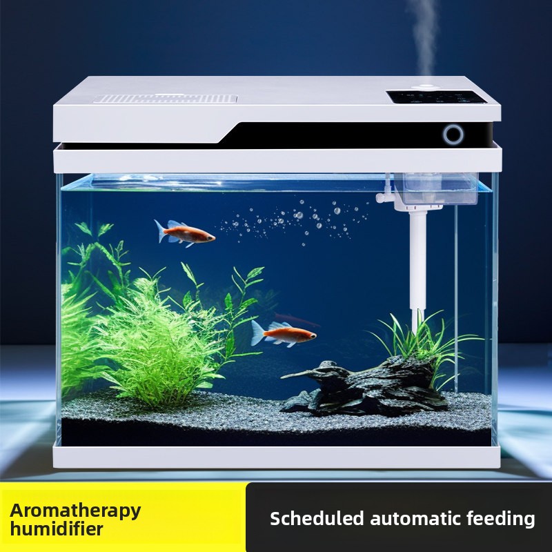 Прозрачный стеклянный аквариум – обзор и цена All Fish In Aquarium
