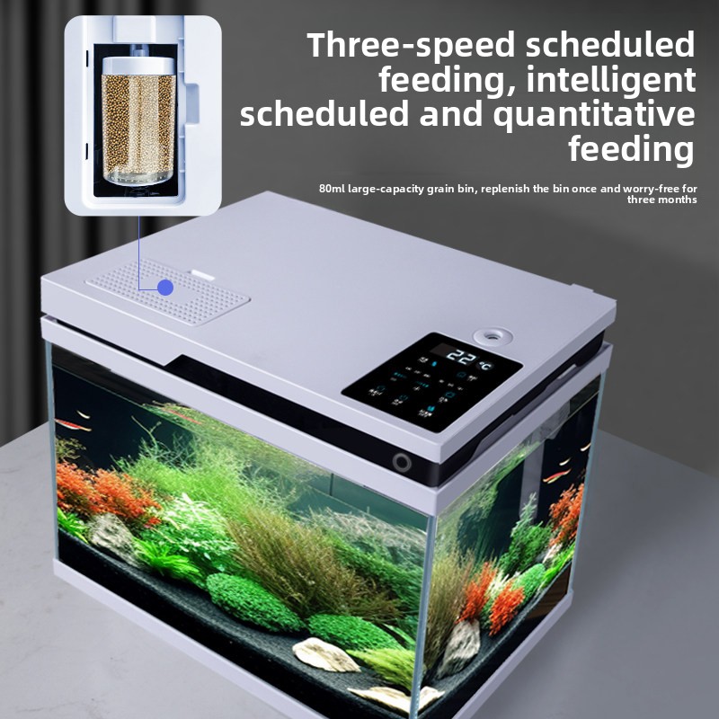 Прозрачный стеклянный аквариум – обзор и цена All Fish In Aquarium