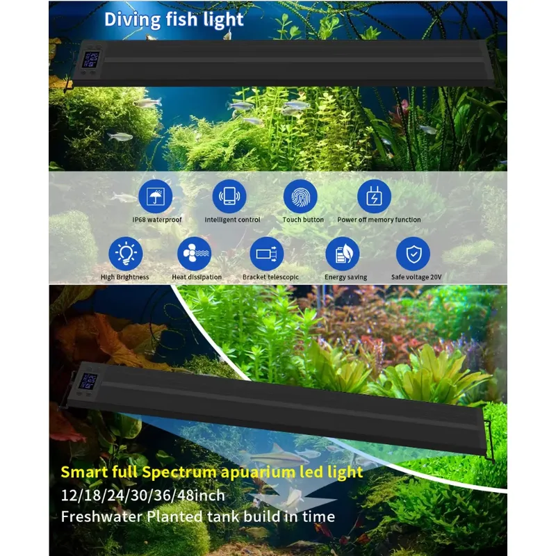 Светодиодная лампа для аквариу – обзор и цена All Fish In Aquarium