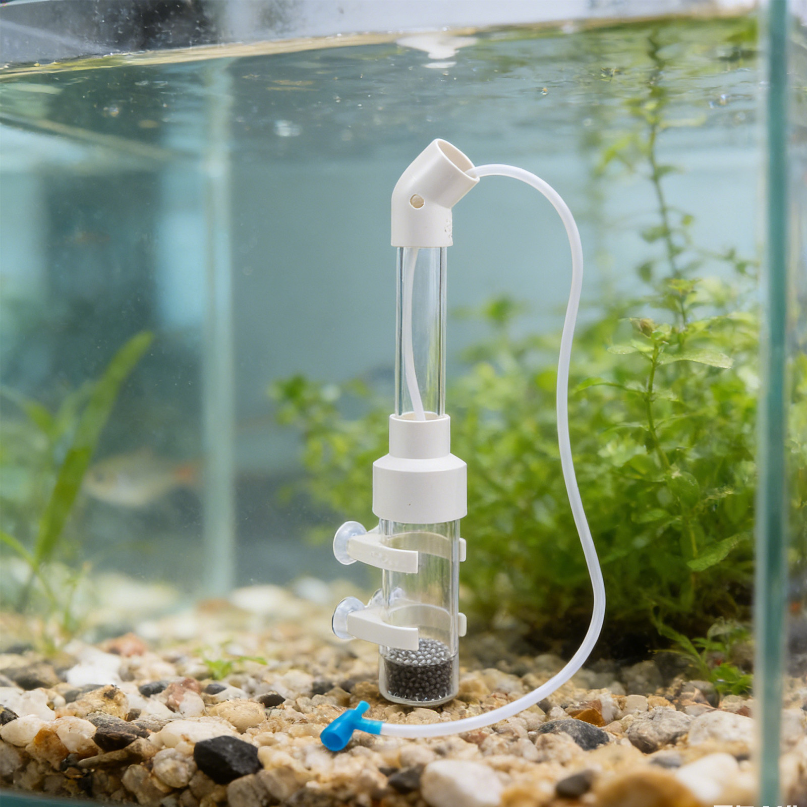 2 комплекта автоматического ин – обзор и цена Aquarium Fish Cichlid