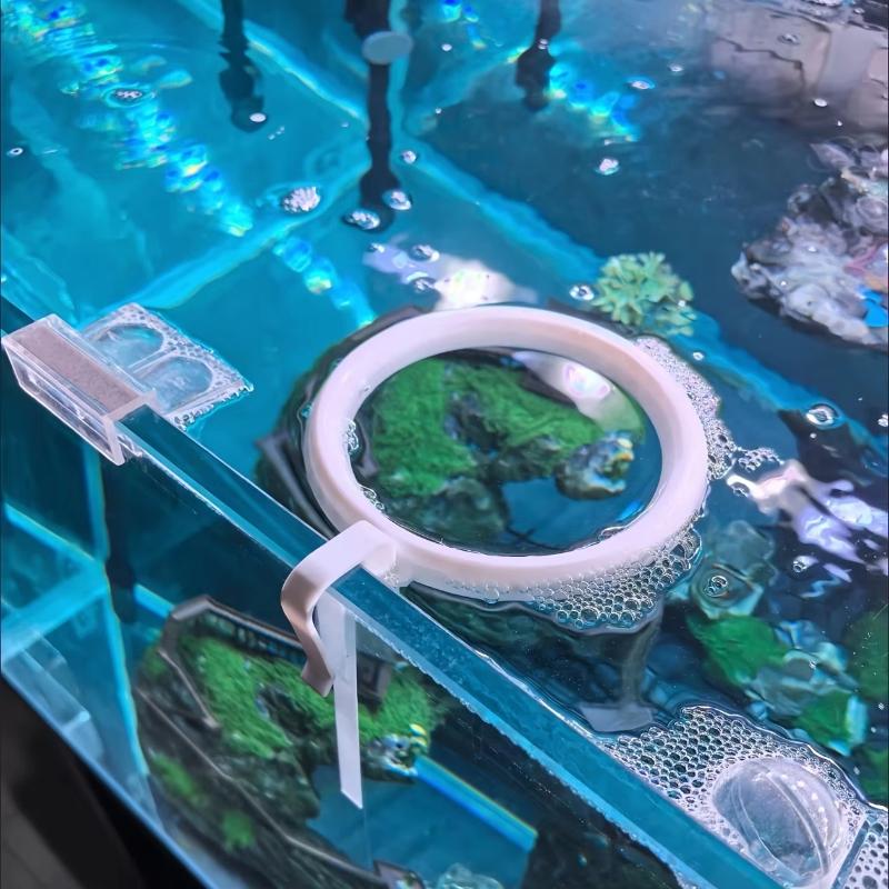 Плавающее кольцо-кормушка прот – обзор и цена All Fish In Aquarium