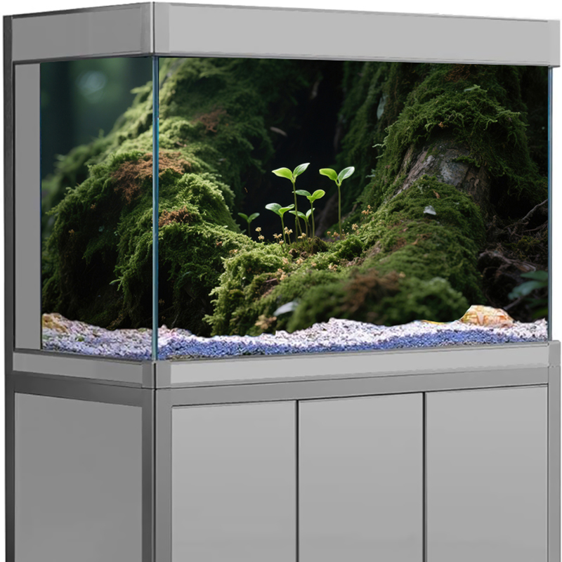 Декор для аквариума: 3D-стикер – обзор и цена Aquarium Fish Cichlid