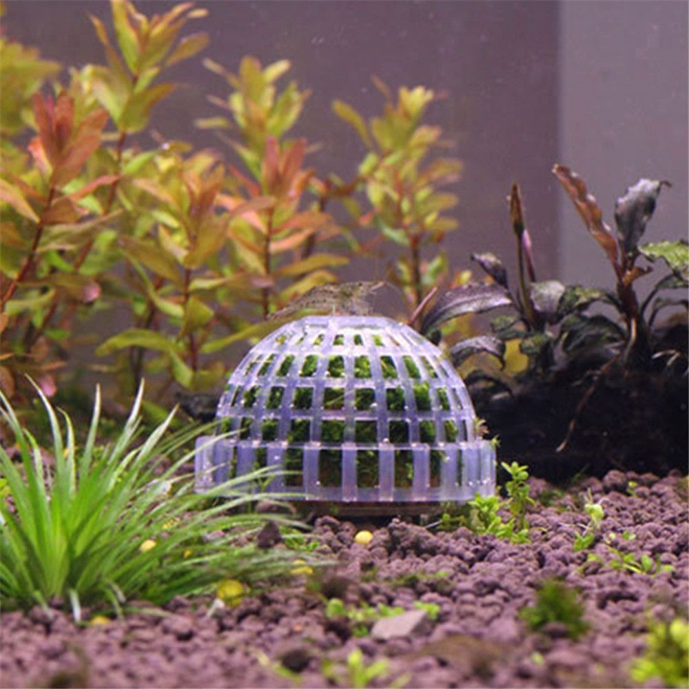 Новая пластиковая подвеска с к – обзор и цена Aquarium Fish Cichlid